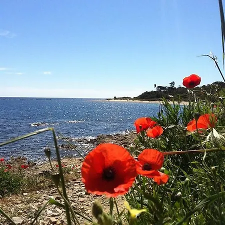 Les Floralies Saint-Tropez